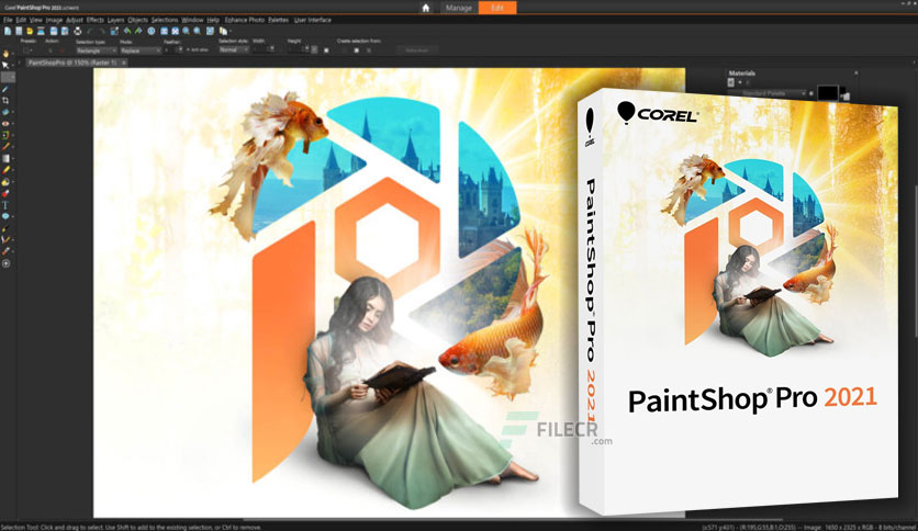 corel paint it download